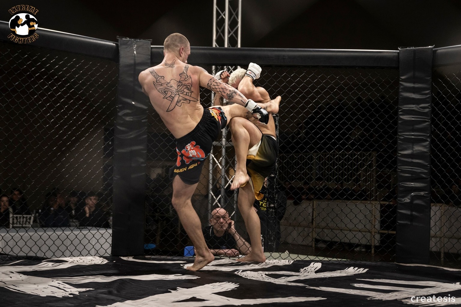 incontro di MMA